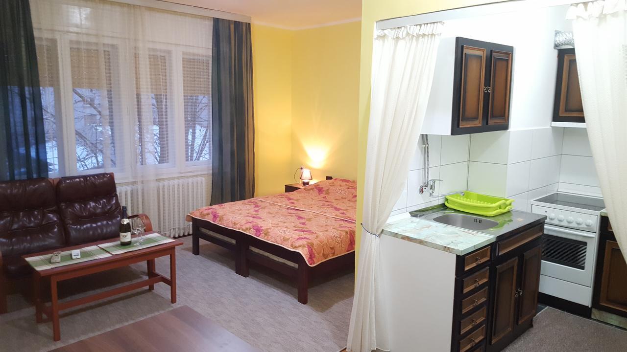 Apartment Roxana Centar Novi Sad Exterior photo